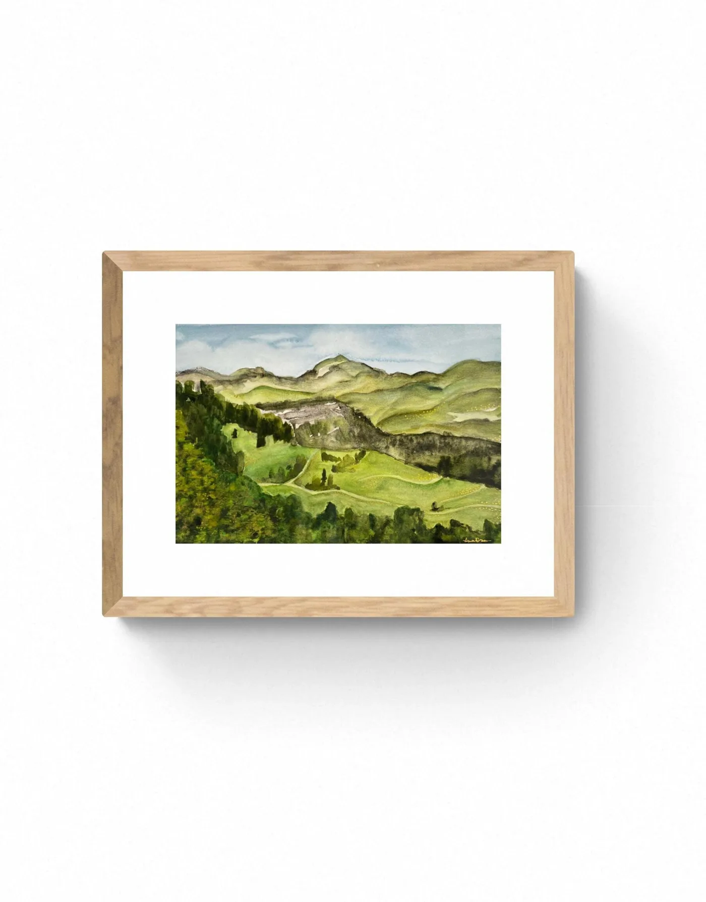 Rolling Hills of a Lush Green Valley